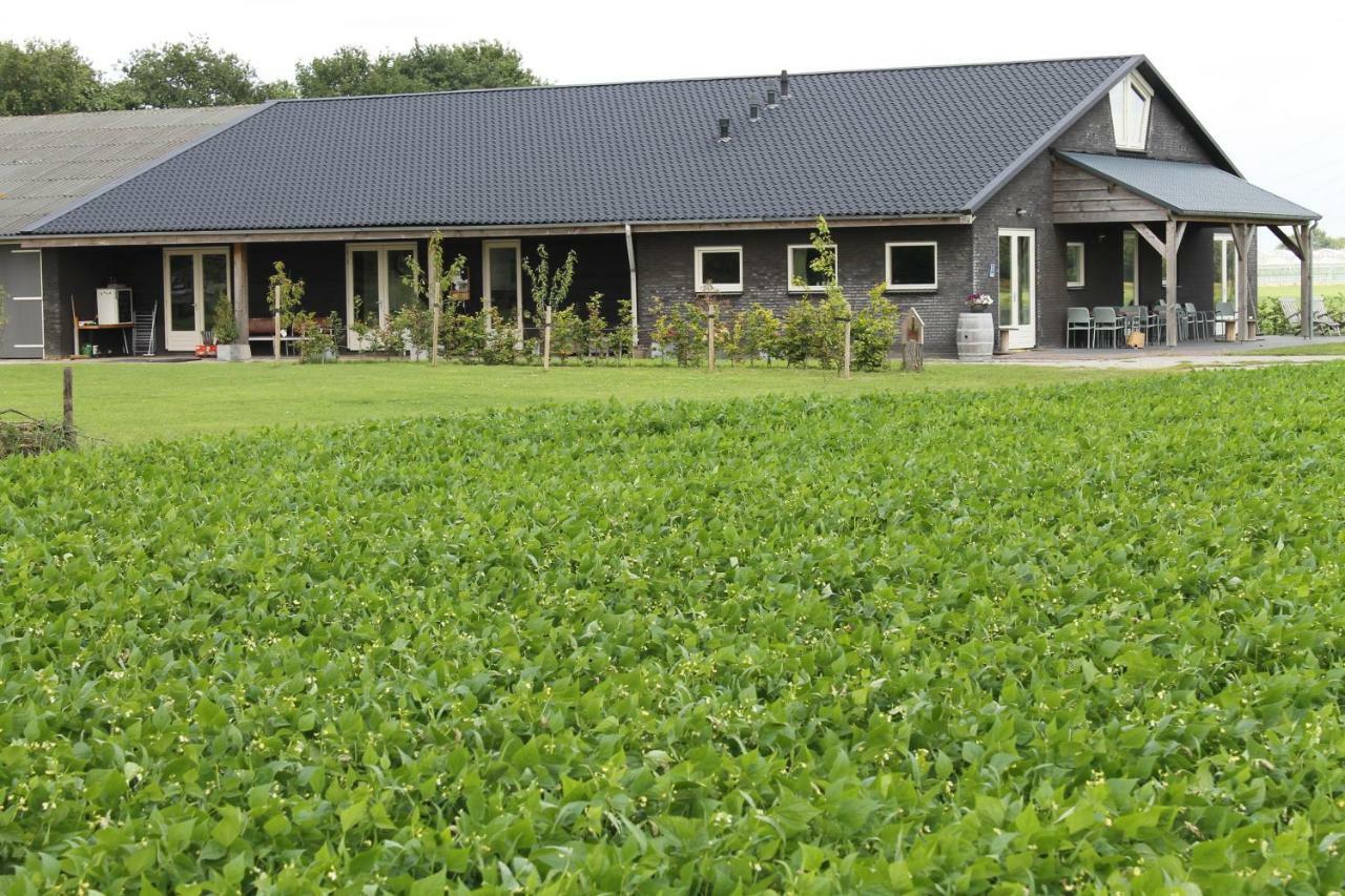 Munnickenheide Buitengewoon Overnachten Terheijden Exteriör bild